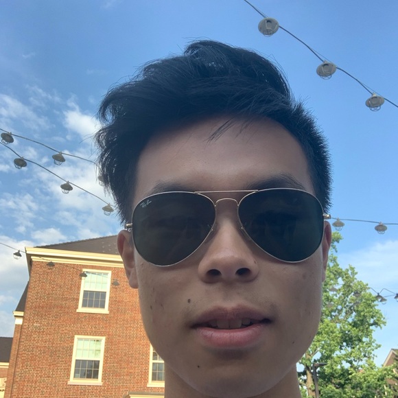 Meet your Posher, Oscar - Picture 1 of 1